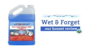 Wet Forget Product Review A Cleaner Choice LLC   Our In Depth Review Of Wet And Forget 10587 300x172 