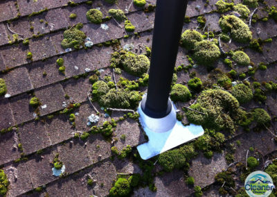 So What is Growing on Your Roof? - A Cleaner Choice, LLC